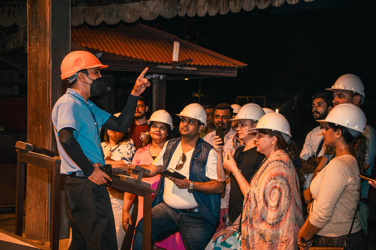 Pattaya: Sanningens helgedom InträdesbiljettDag: Sanningens helgedom Entrébiljett