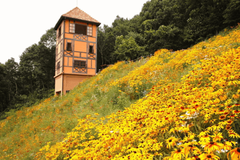 Nami Island Scenic Day Tour (Garden & Petite France)