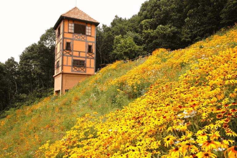 Nami Island Scenic Day Tour (Garden & Petite France)