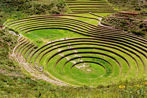 Cusco : Vallée sacrée, mines de sel de Maras et Moray &amp; déjeuner