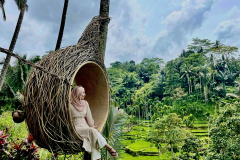 Ubud : Forêt des singes, rizières en terrasses et balançoire - excursion d&#039;une journée
