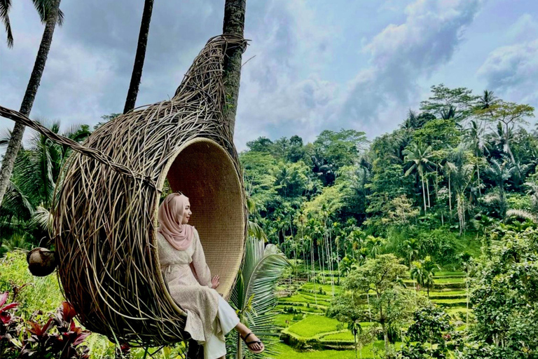 Ubud : Forêt des singes, rizières en terrasses et balançoire - excursion d&#039;une journée