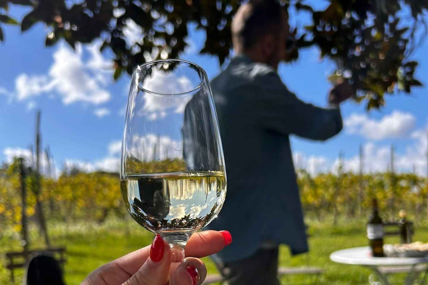 From Rome: Half-Day Frascati Wine Tour with Farmhouse Lunch