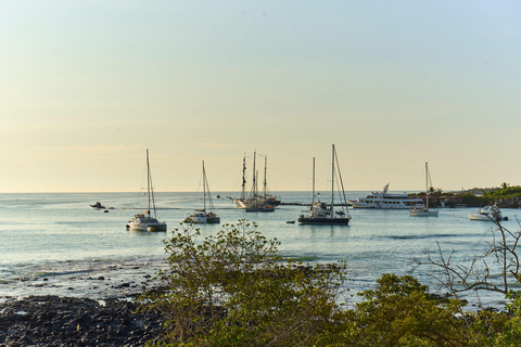 Galapagos: Exclusive 7-Day Tour – Santa Cruz, Isabela, and Santa Fe with Snorkeling Galapagos: Exclusive 7-Day Tour of Santa Cruz, Isabela, and Santa Fe with Snorkeling