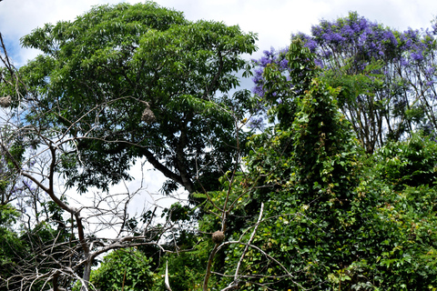 Duluti-See: Kanufahren, Naturwanderung und ExtraKajakfahren, Spaziergang in der Natur und Töpferkurs