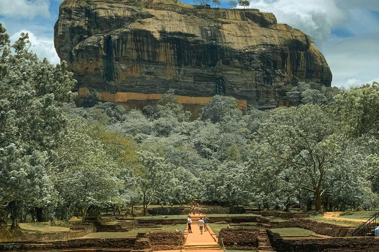 Wycieczka 1-dniowa z Kandy do Sigiriya i DambullaPrywatna 1-dniowa wycieczka do Sigiriya i Dambulla z Kandy