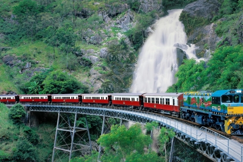 Ferrocarril panorámico de Kuranda y tour de Palm CoveTeleférico Skyrail Kuranda y autobús
