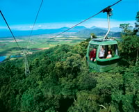 From Port Douglas, Kuranda via Scenic Rail or Skyrail Option - Housity