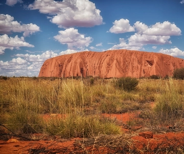 De Alice Springs: Viagem de 1 dia a Uluru com jantar de churrasco