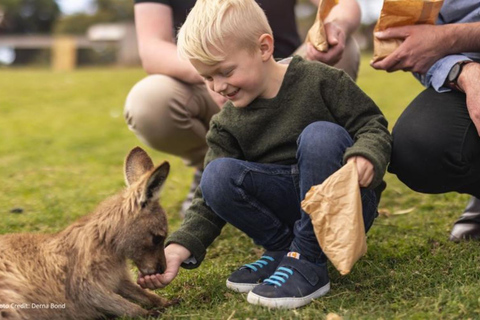 博诺朗和里奇蒙：岸上短途旅行（私人观光）Bonorong &amp; Richmond: Shore Excursion (Private Tour)