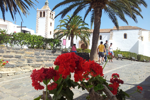 Fuerteventura: Island Tour by Minibus Island Tour by Minibus with Pick-up on South End of Island