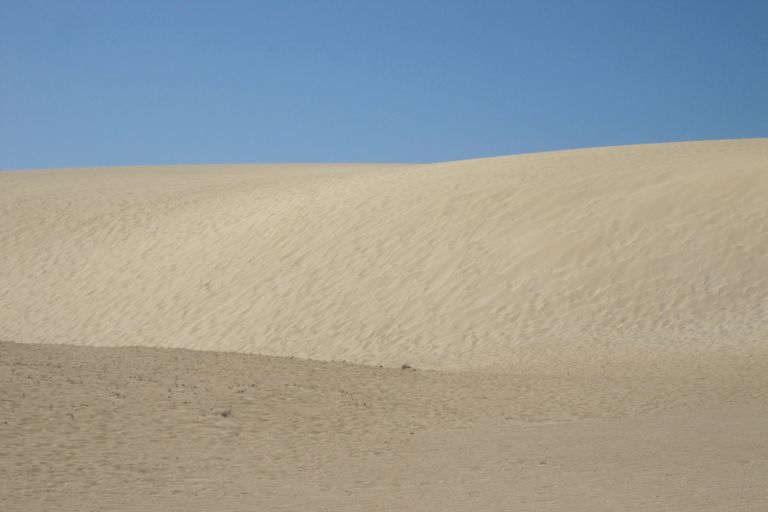 Fuerteventura: tour over het eiland in een personenbusEilandtour per minibus met ophaalservice aan zuidkant eiland