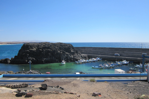 Fuerteventura: tour over het eiland in een personenbusEilandtour per minibus met ophaalservice aan zuidkant eiland