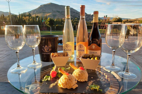 Desde Alicante: Visita guiada a una antigua bodega. Degustación incluida.