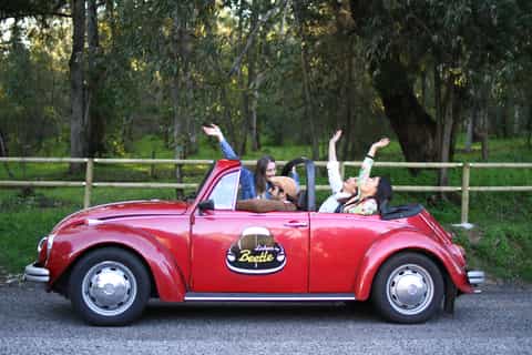 Lisbon & Sintra Private Tour with Convertible VW Beetle