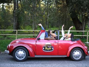 Lissabon & Sintra: Private Tour mit VW Beetle Cabrio Lissabon & Sintra: Private Tour mit VW Beetle Cabrio
