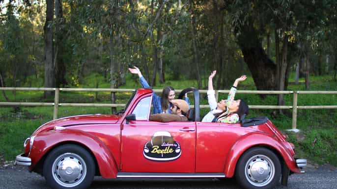lisboa e sintra excursão privada em fusca conversível