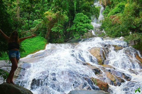 Koh Samui: Guided Tour with Buddha Statues &amp; Na Muang FallsKoh Samui: Original Discovery Group Tour