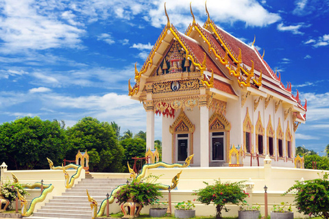 Koh Samui: Guided Tour with Buddha Statues &amp; Na Muang FallsKoh Samui: Original Discovery Group Tour