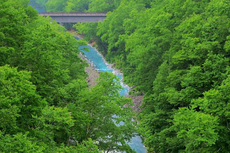 Hokkaido Asahiyama Zoo Tour with Melon Buffet Option Sapporo Tokyu REI Hotel Departure (With Lunch&Melon Buffet)