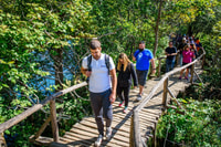 From Zagreb, Transfer to Split & Plitvice Lakes Guided Tour - Housity