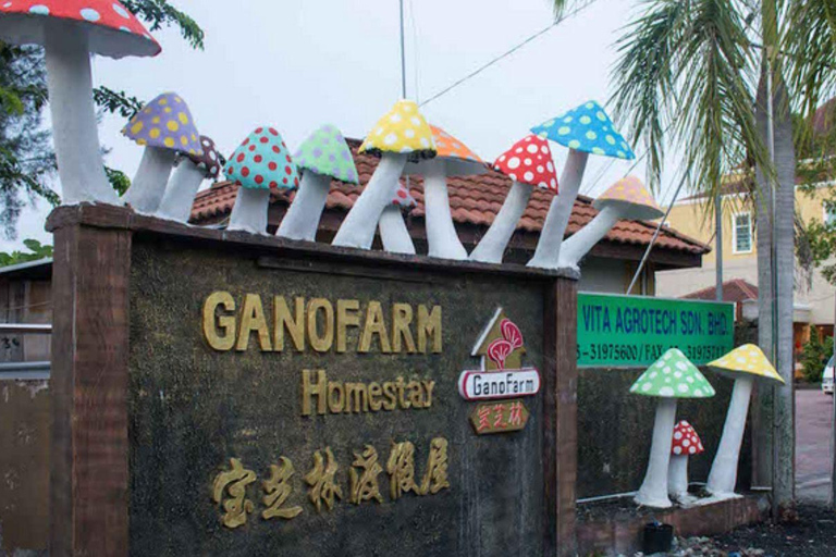 Seaside Charms &amp; Eco Discoveries: Morib to Bagan Lalang