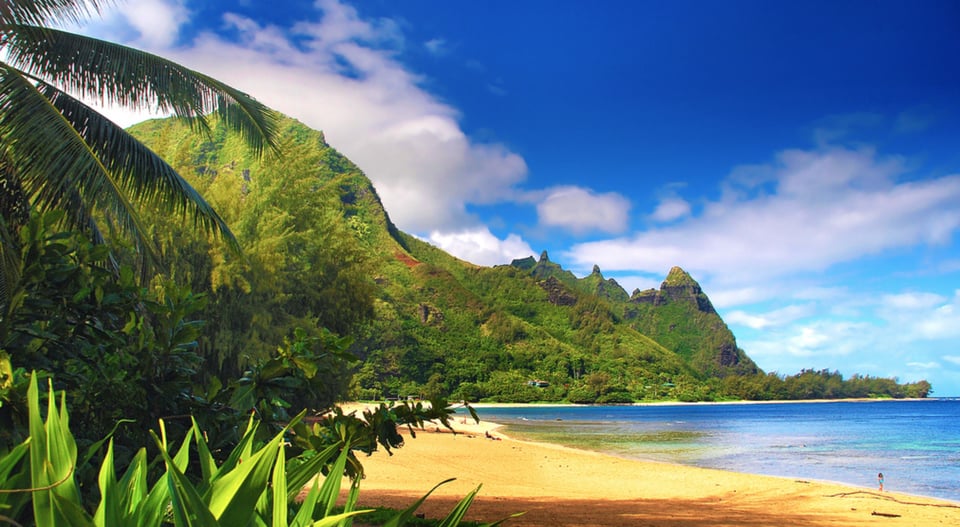 Kauai: Customized Luxury Private Tour