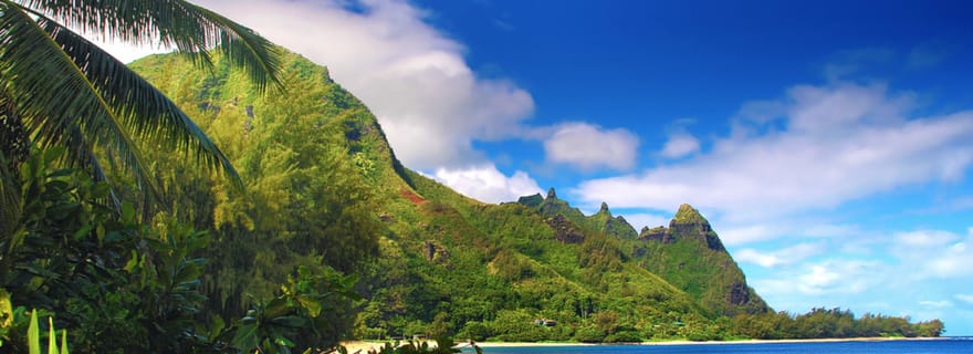 Kauai : Visite privée de luxe personnalisée