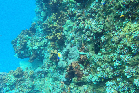 Nusa Penida: Tour in barca per lo snorkeling con le mante