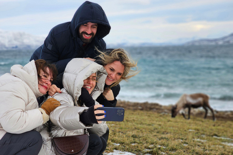 Von Tromsø aus: Arktische Tierwelt & Fjord-Sightseeing-Tour mit dem AutoVon Tromsø aus: Arktische Fjord- und Wildtier-Tour mit dem Auto