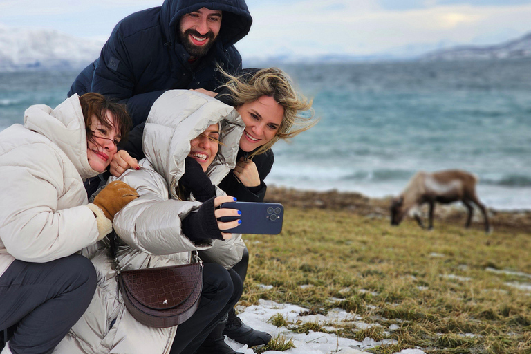 Vanuit Tromsø: Arctic Wildlife & Fjord Sightseeingtour met de autoVan Tromsø: Arctic Fjord en Wildlife Tour met de auto