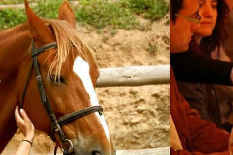 Horseback Riding Tour and Wine Tasting in Penedés