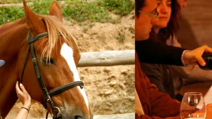 horseback riding tour and wine tasting in penedés