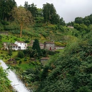 São Miguel Island: Full-Day Ribeira Park and Nordeste Tour
