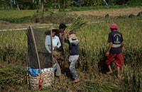 Bali, siti di 6 ore a un tour a piedi culturali - Housity