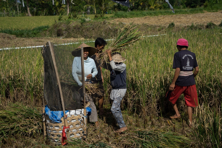 Bali: recorrido cultural a pie por los sitios de la UNESCO de 6 horas