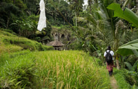 Bali, 6-uur UNESCO Sites Culturele Walking Tour - Housity
