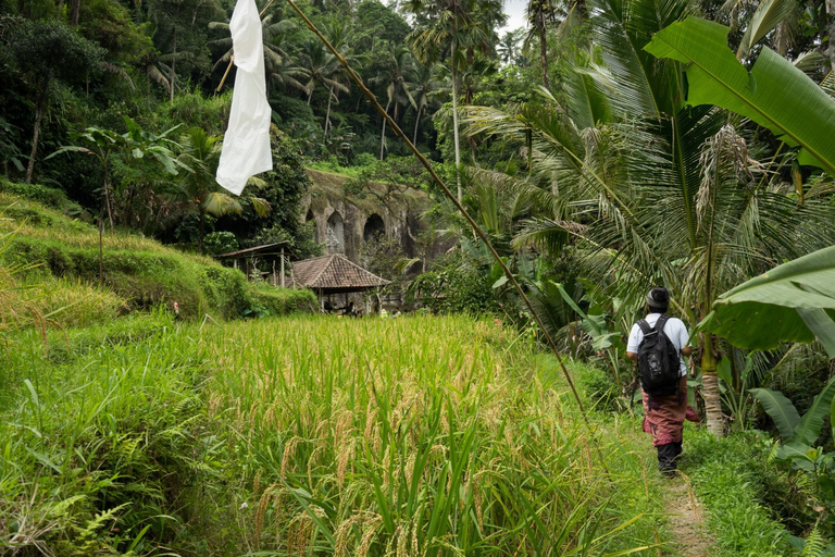 Bali: recorrido cultural a pie por los sitios de la UNESCO de 6 horas