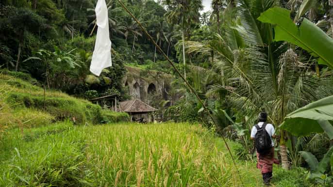 bali 6hour unesco sites cultural walking tour