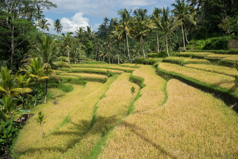 Bali: recorrido cultural a pie por los sitios de la UNESCO de 6 horas