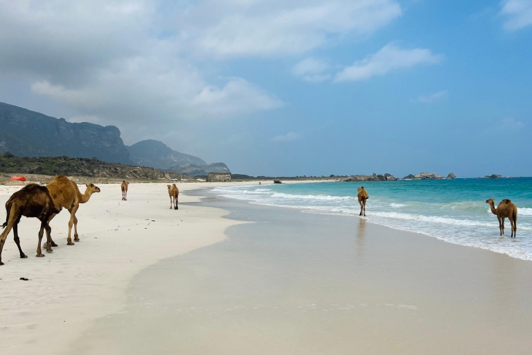 Salalah: Tour zum Fazayah Strand & Schwimmen