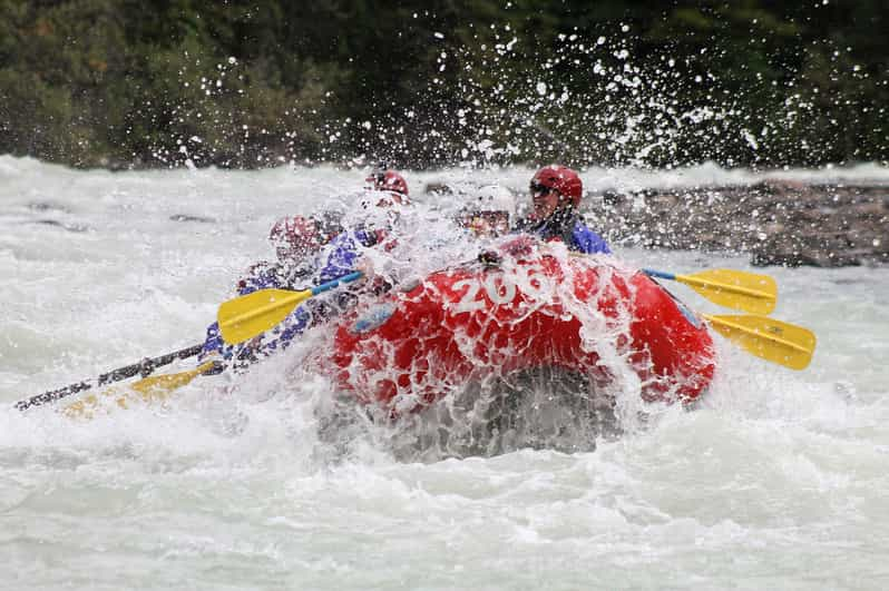 Sunwapta Challenge Wildwasser Rafting In Jasper GetYourGuide