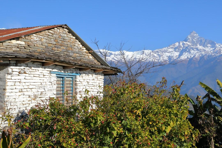 Australian Base Camp Day Hike Pokhara