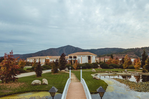 Casablanca: Private Wine Tour at Estancia El Cuadro, Valparaíso, Viña del Mar