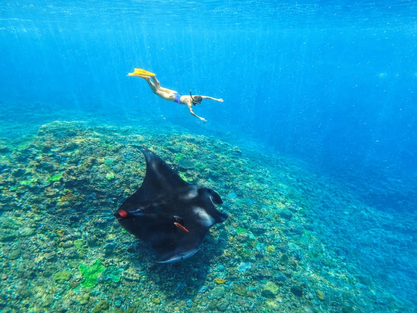Nusa Penida: Snorkeling 3 Spots with GoPro & West Land Tour in Bali