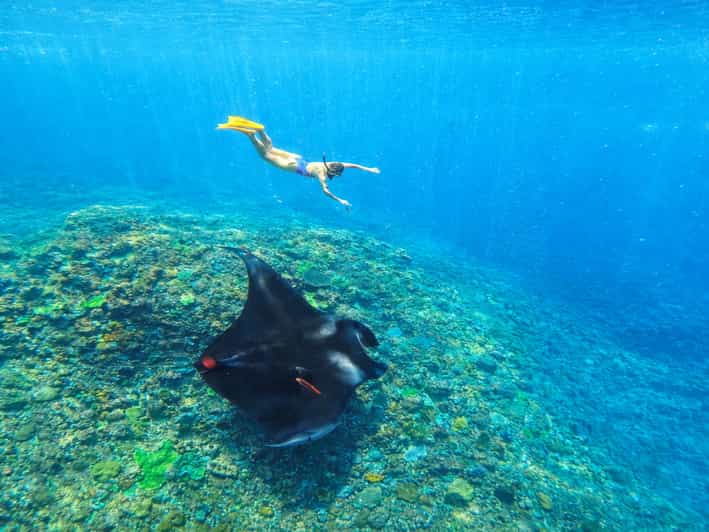 Nusa Penida: Snorkeling 3 Spots with GoPro & West Land Tour