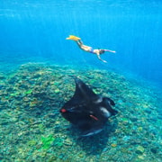 Nusa Penida Snorkeling 3 Spots with GoPro & West Land Tour