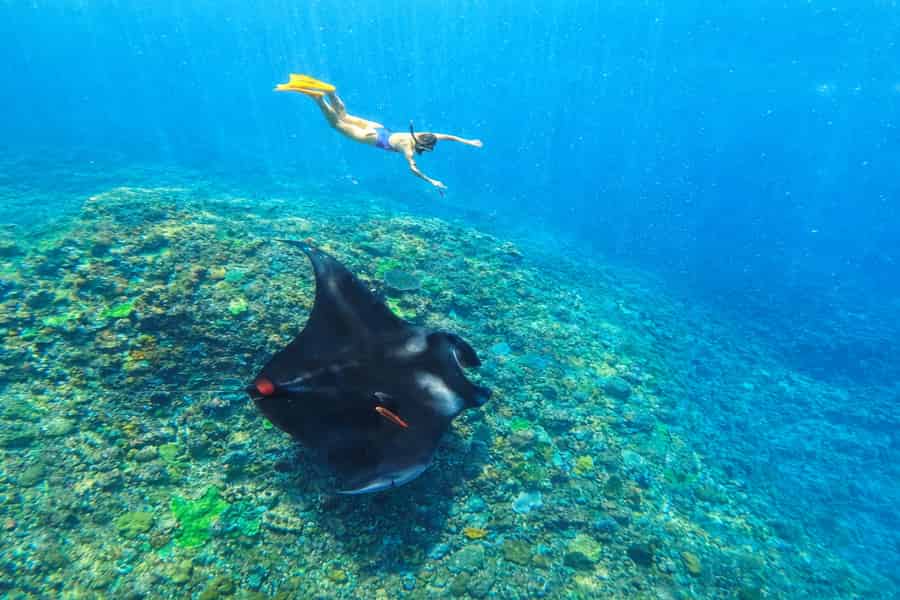 Nusa Penida: Schnorcheln an 3 Orten mit GoPro & West-Landtour. Foto: GetYourGuide