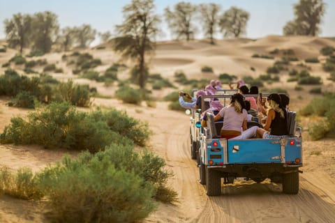 Dubai: Heritage Safari in Vintage Land Rover with Dinner