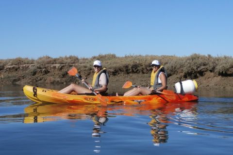 Faro: Kayak Hire in Ria Formosa Natural Park